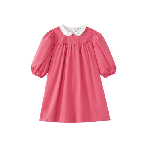 Embroidered Collar High Yoke Dress