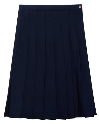 Accordion Pleated Skirt